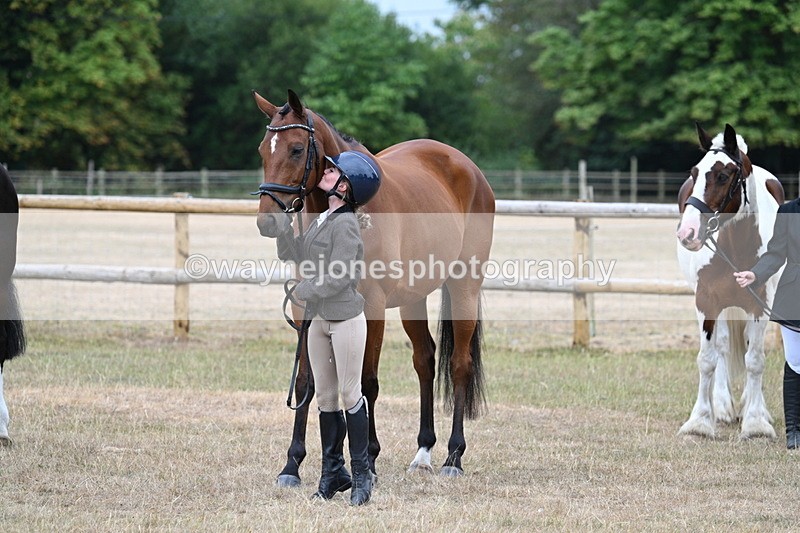 WJ7_9942 - Class 5a Most Handsome Gelding (above 14.2hh)