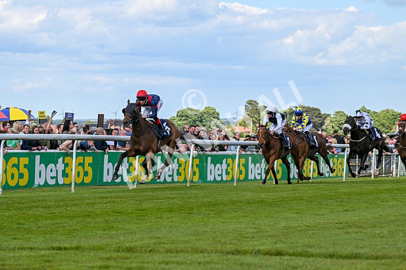 080624-Race 6-Walter Hartright-1704 - Race 6