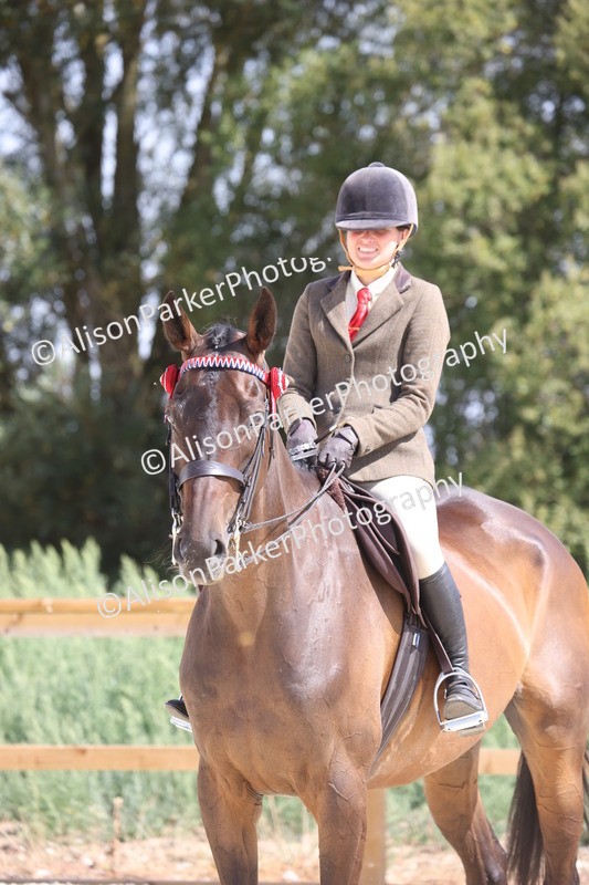 20260802-0742 - Class 8 - Best Riding Horse or Pony