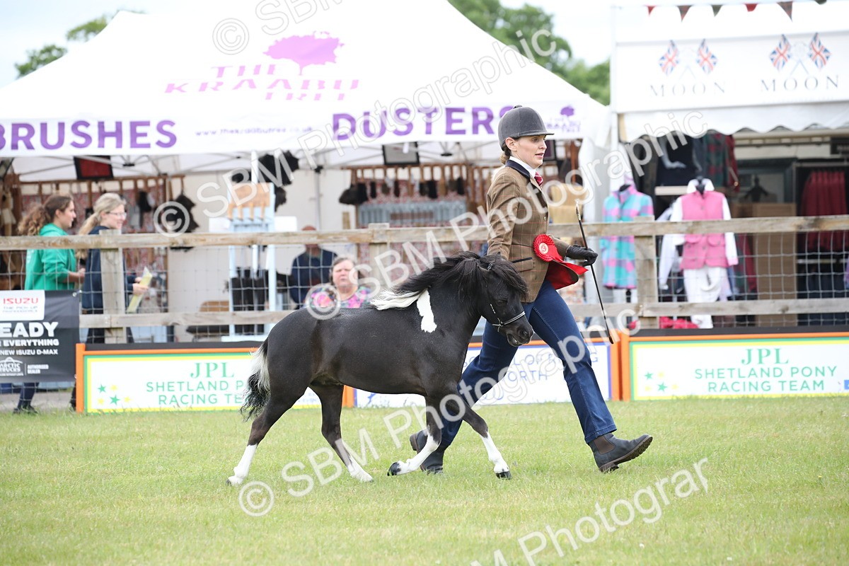 SBM_03847 - Class 23-25 - British Miniature Horse of the Year