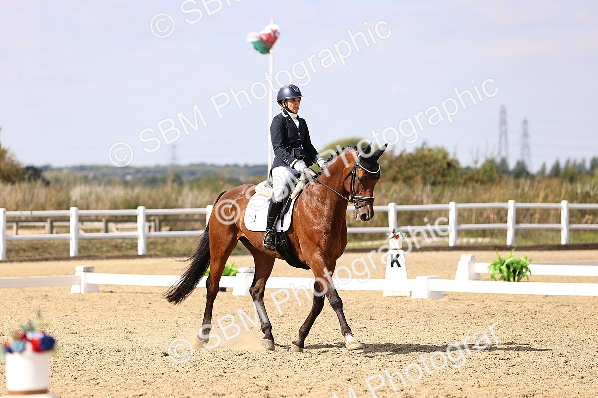 SBM_015053 - Class 6 - Elementary 5