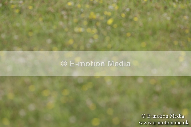 BVR160717-1409 - Class 3 Dressage 16/07/17