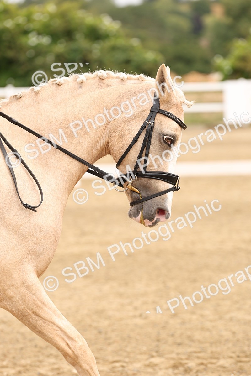 SBM_000827 - Class 2 - Prelim 6 Silver - 11.30-12.45