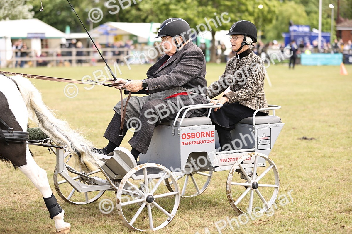 SBM_16068 - Class 91 - Scurry  exceeding 122cms