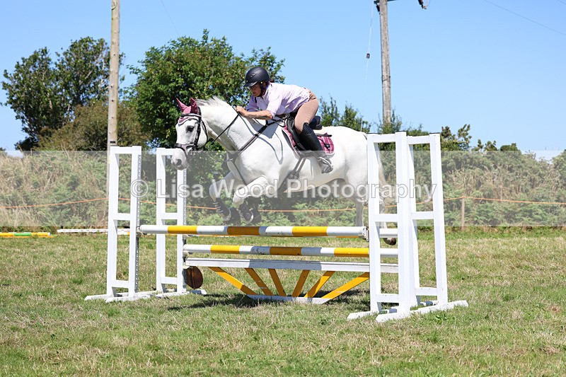 3E7A5654 - Class 9: Senior British Novice/90cm open