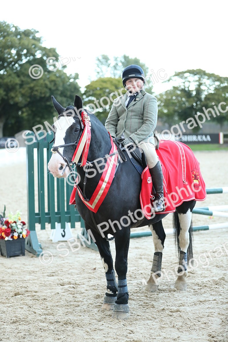 SBM_53744 - Supreme Championship 65cm 70cm