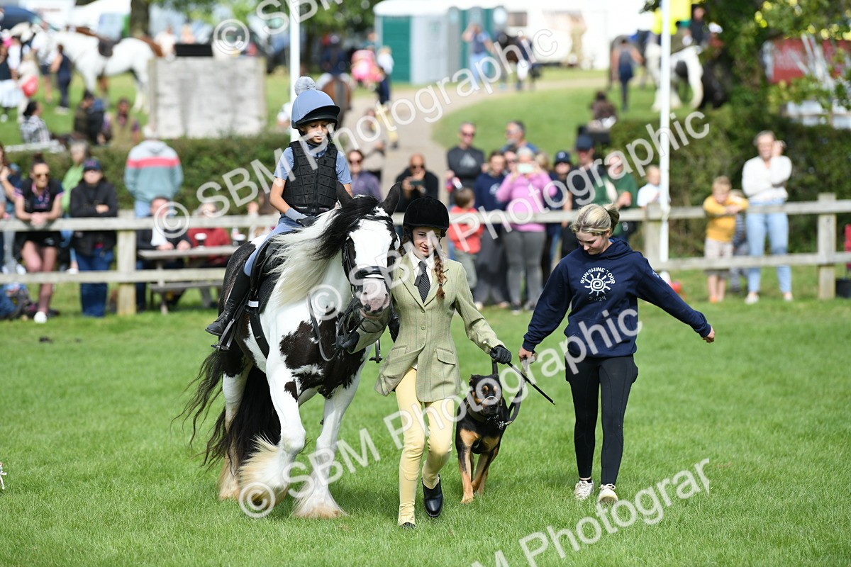 SBM_46944 - S12 - Family Horse & Pony
