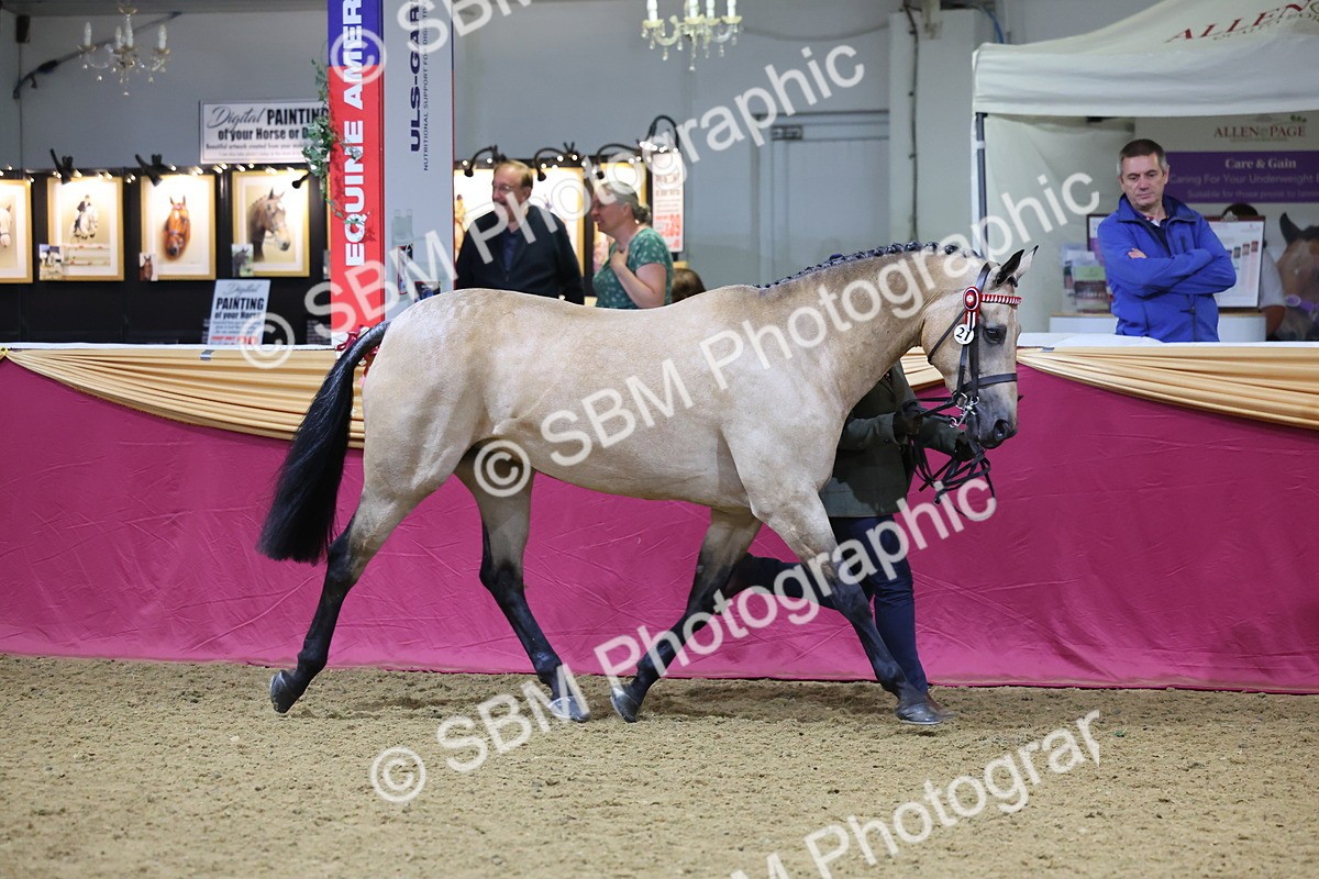SBM_20796 - Class 902 - Supreme Final IH Veteran