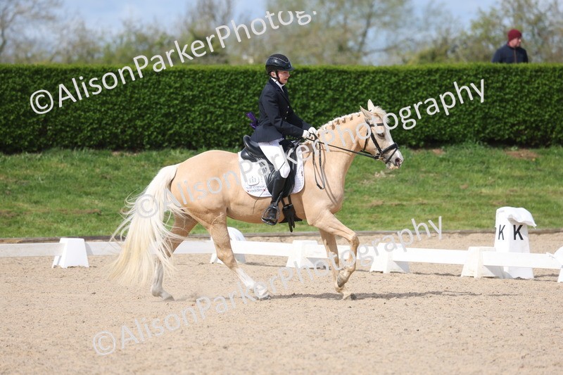 20260405-0204 - Class 3 - Novice 5