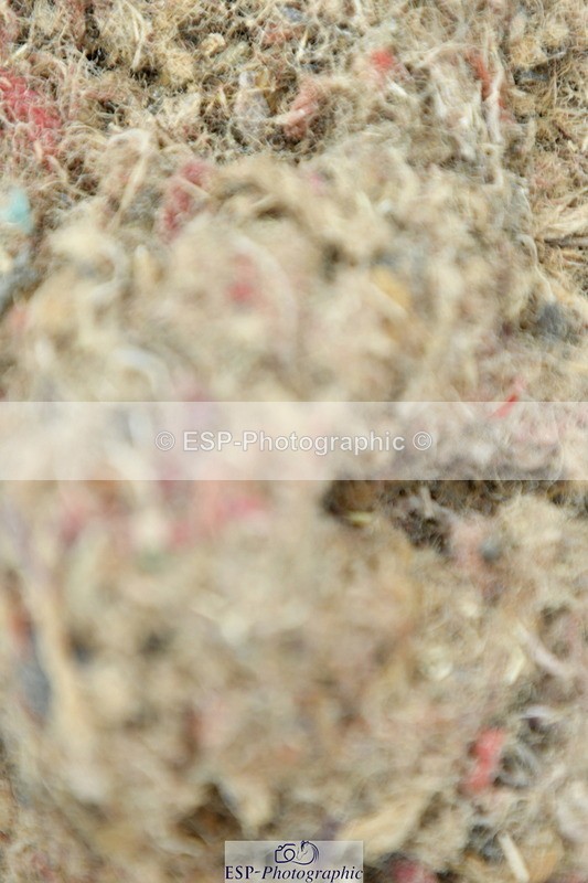 230701A-102814-04770 - Cls 4 Novice 23