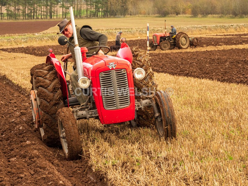 PB260402 - Lauderdale Ploughing Society - Ploughing match 26-11-22