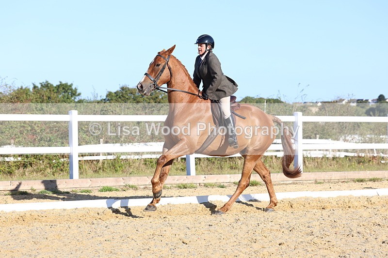 3E7A5200 - Class 7: Novice Ridden Hunter/Hack/RH/Cob