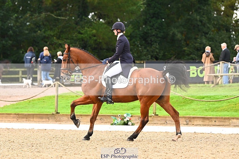 231021-093655-12862 - 327-ENSOR.VAN.HET.HELLEHOF-Francesca.Swallow-DR