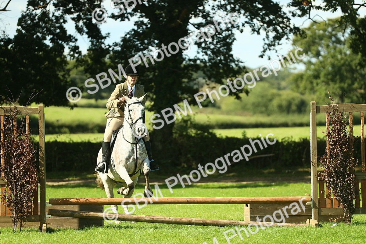 SBM_39250 - S29 - Novice & Newcomers Working Hunter Pony