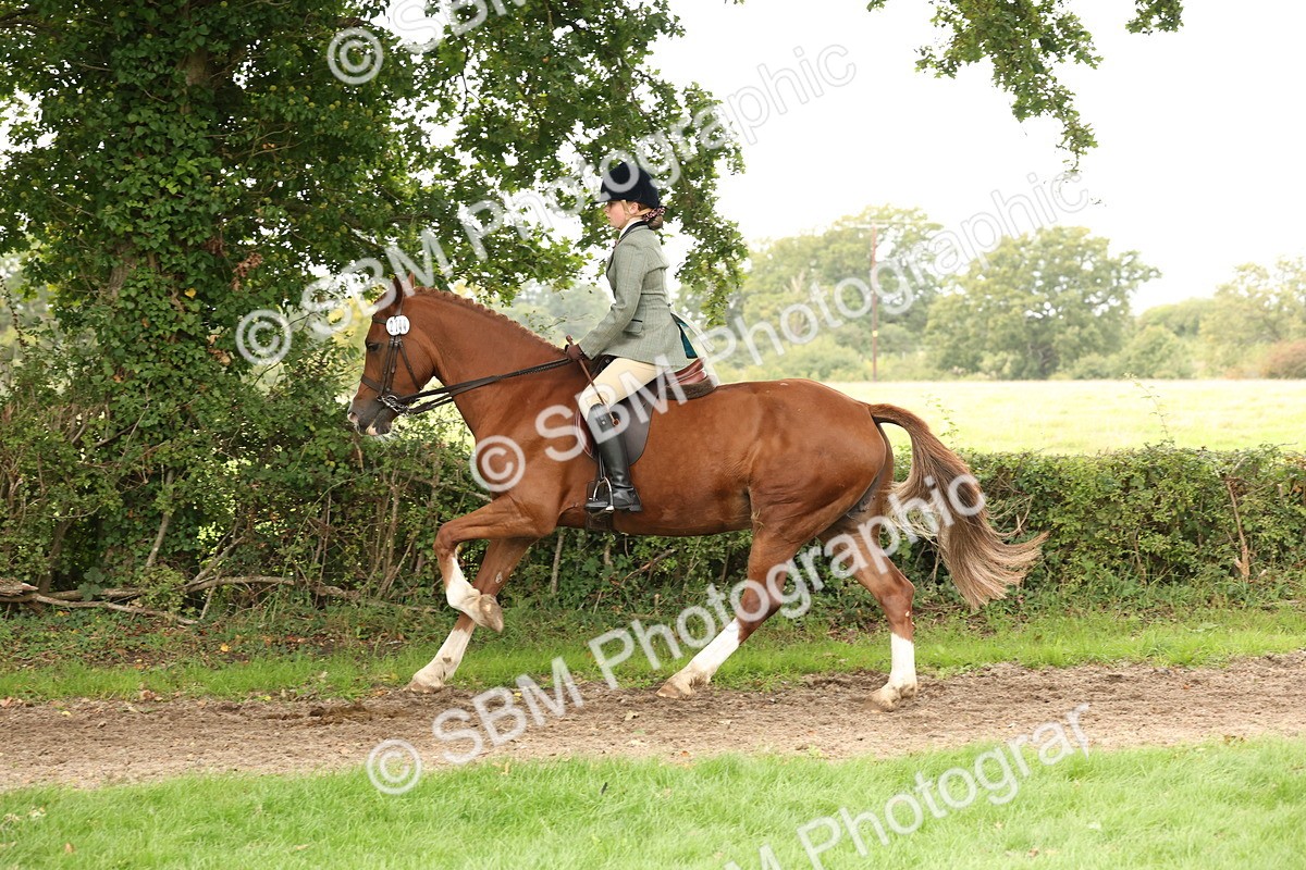 SBM_66348 - S66 - Hunter Ridden