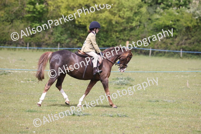 20260426-4035 - Class 33 - Best Pony 14.2hh and Under