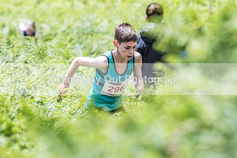 Coniston Juniors-64 - Coniston Gullies Junior Fell Races Sunday 25th May 2025