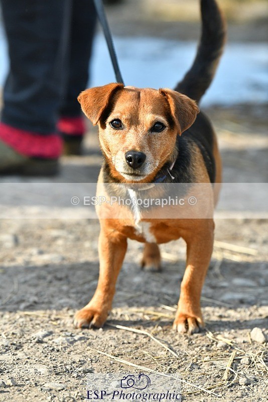 230817-083622-02427 - Stable Shots