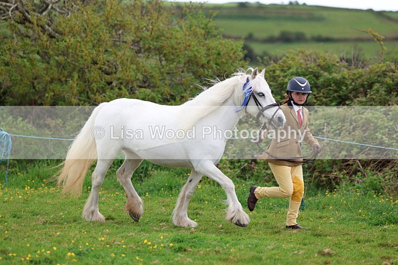 3E7A0762 - In Hand Championship