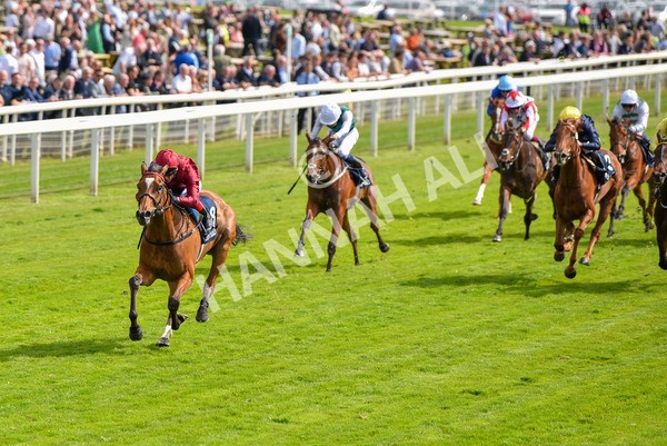 170523-Race 4-Soul Sister-8748 - Race 4 3.35pm Tattersalls Musidora Stakes