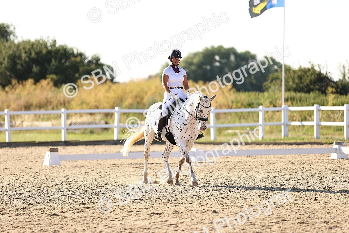 SBM_007802 - Elementary 4 - 17.07-18.22