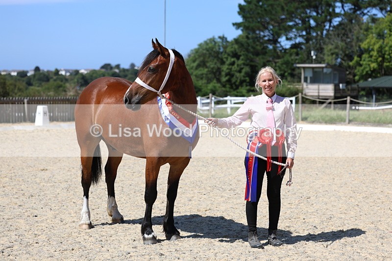 3E7A9931 - In Hand Championship