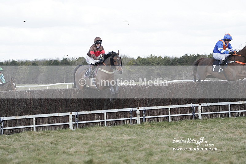 PtP 260223 635 - South & West Wilts Point-to-Point Larkhill 26/02/23
