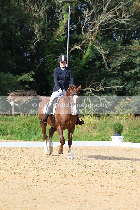 3E7A2271 - Class 1: Intro 4 2024 section A