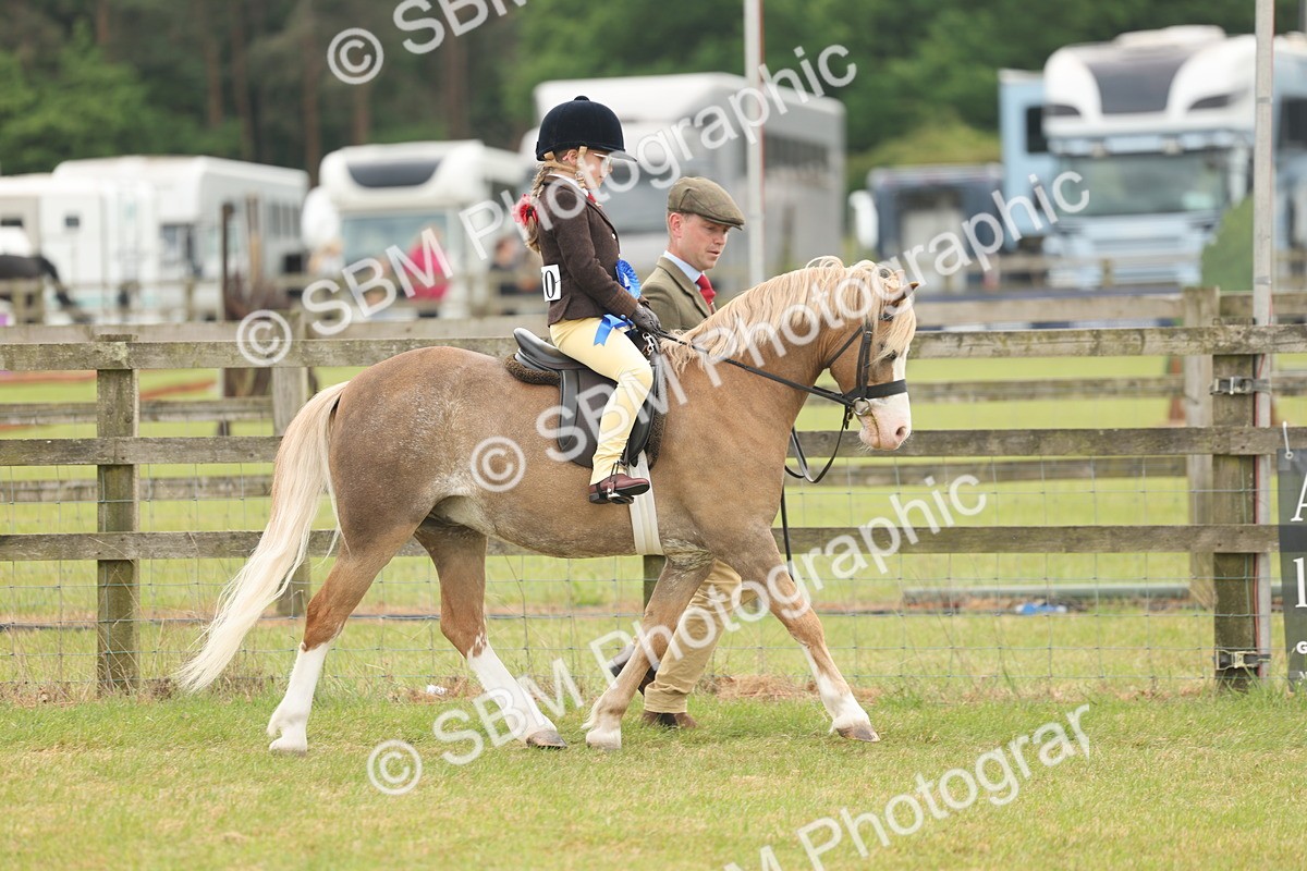 SBM_06943 - Class 74-75 - M&M Lead Rein and First Ridden Pony