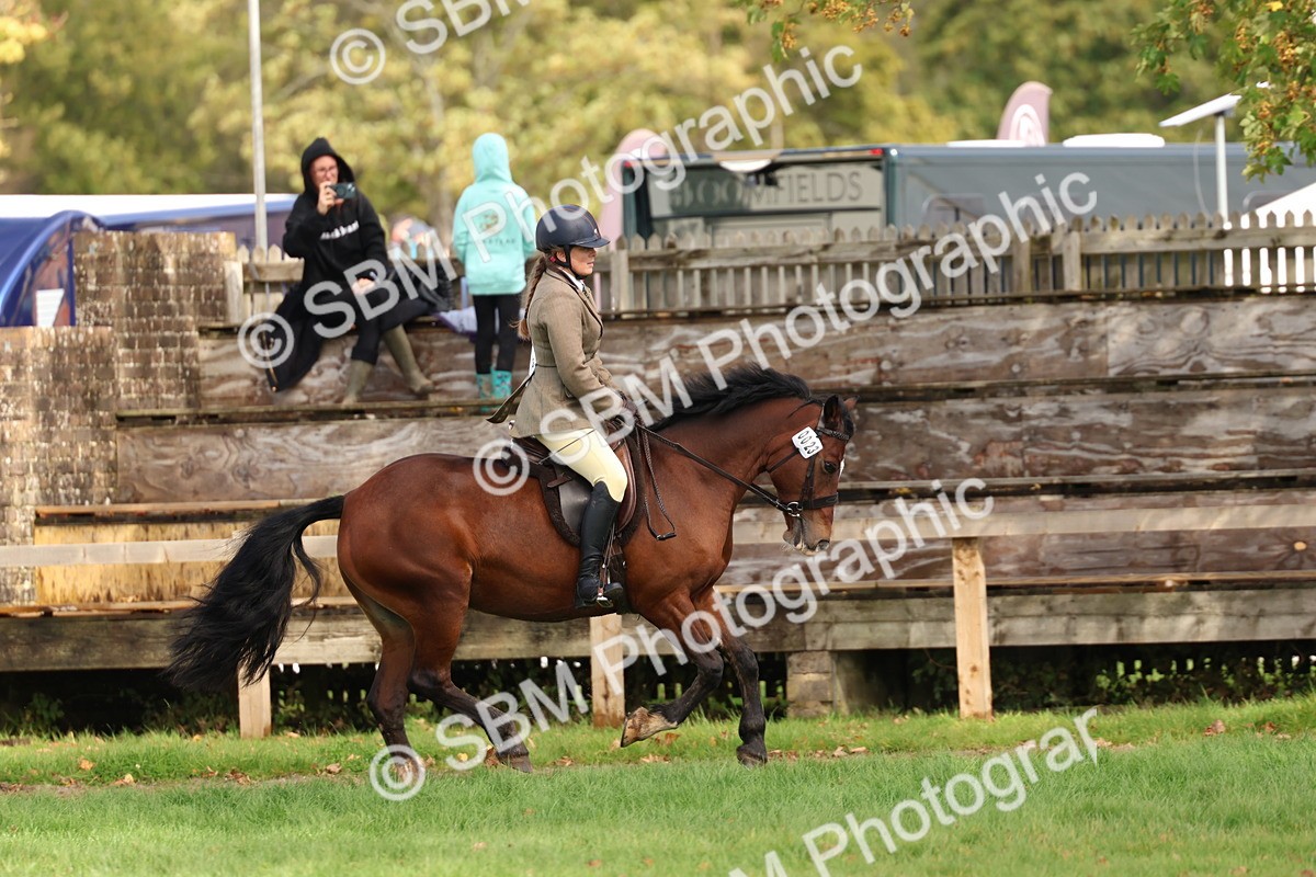 SBM_47705 - S28 - Veteran Ridden