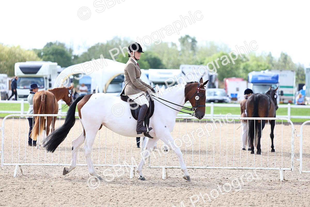SBM_12014 - Class 308 - Ridden Coloured Horse