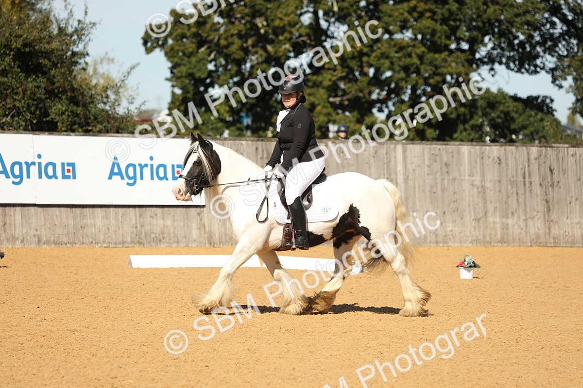 SBM_19618 - D10 - Small Tour Championship - Prelim 2