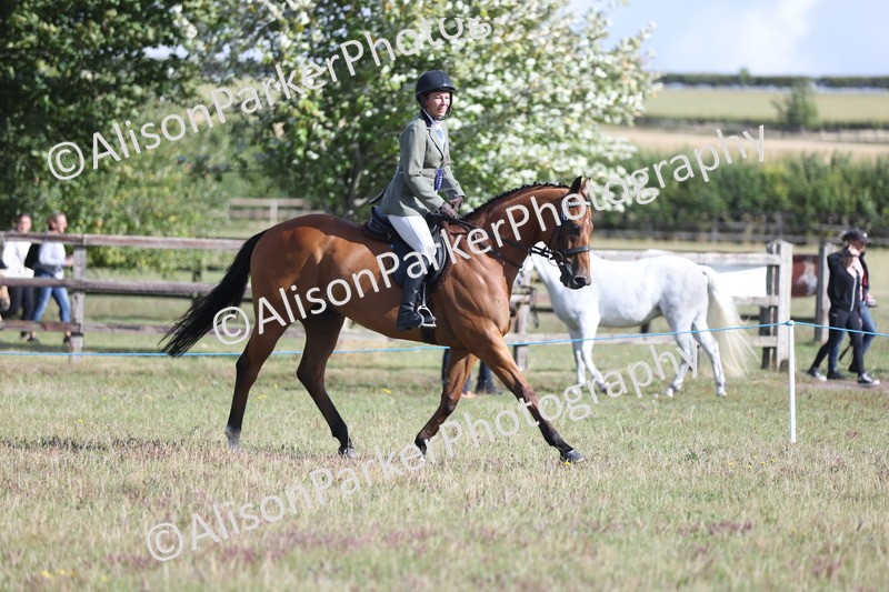 20250831-0961 - Class 14 - Ex Racehorse