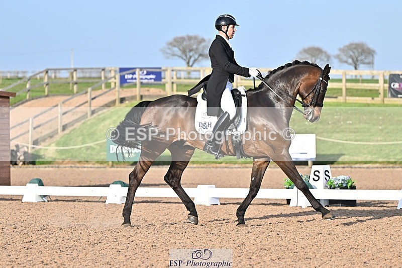 250404-181120-08558 - 159-Darren.Hicks-Tramontana.Tiger.Feet