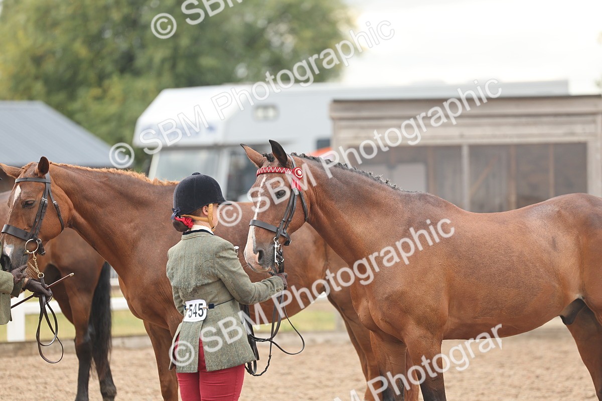 SBM_07775 - Class 27 - IH Competition Horse/Pony