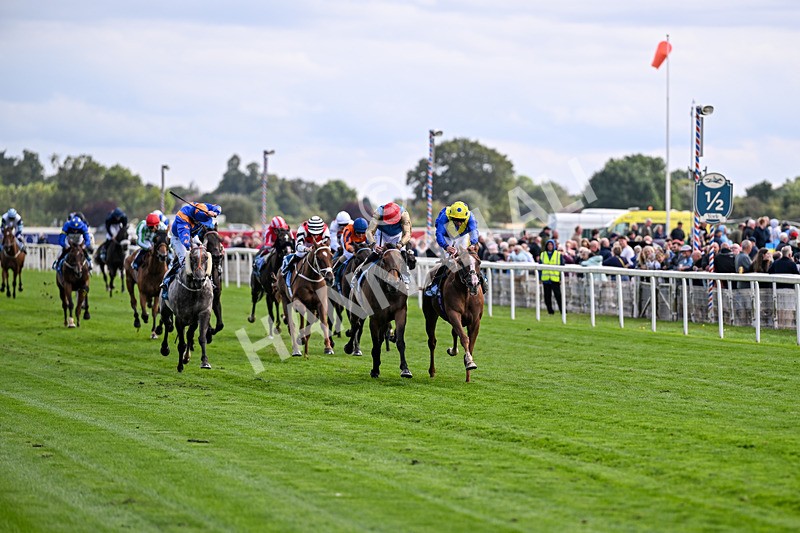 210826-Race 5-Plage De Havre-6721 - Race 5 16.10pm Assured Data Protection Handicap