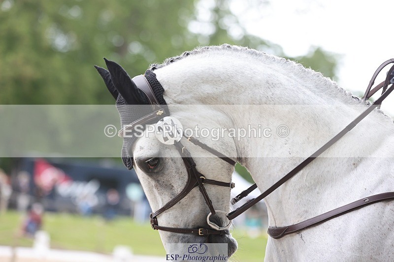 240524-142210-09724 - 281-UNSTOPPABLE_VAN_'T_CRAEYNEST_Z-Valentine_Emsens