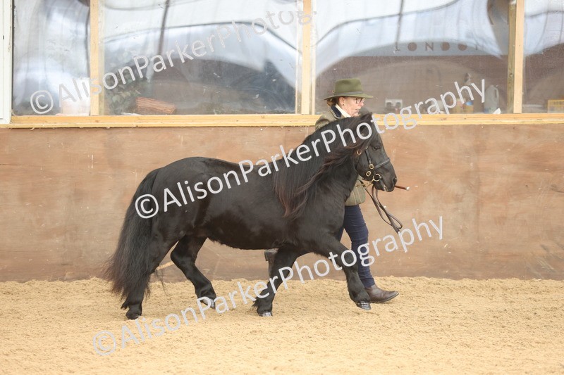 20251109-0029 - Class 3 - 2 and 3 Year Old