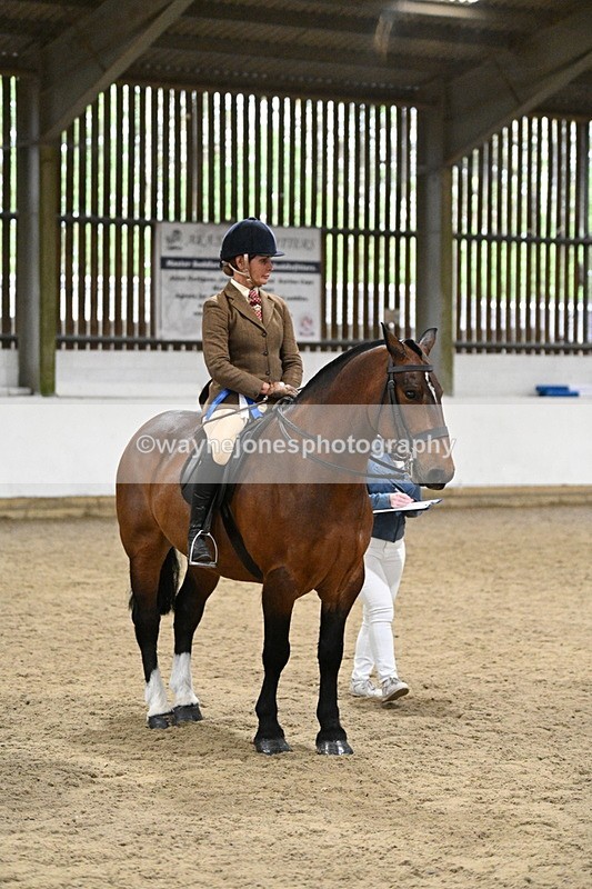 WJ7_4347 - Class 17 Ridden Cob