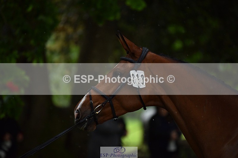 240522-151014-00134 - 318-LILO_TR-Marcio_Carvalho_Jorge