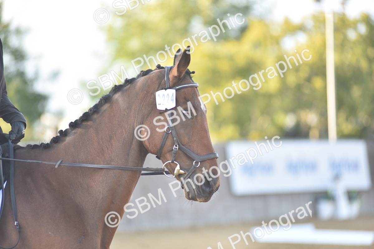 SBM_13375 - D19 - Small Tour Championship Elementary 1