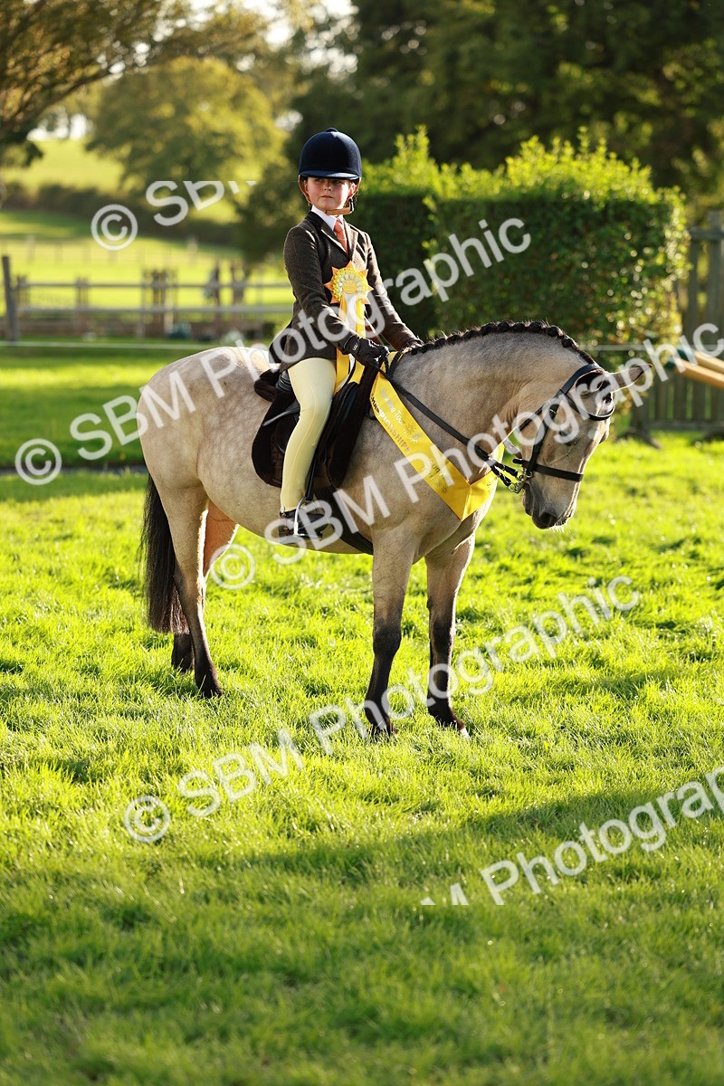 SBM_29293 - Novice & newcomer Supreme Championship