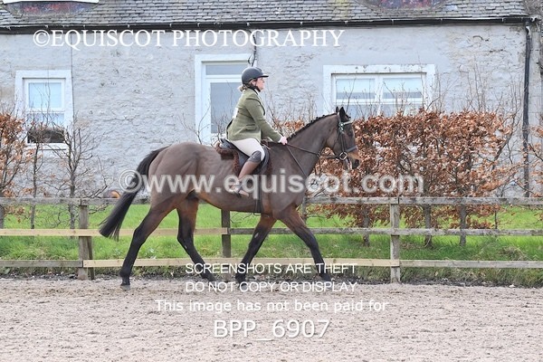 BPP_6907 - RING 1  (RIDDEN HORSES / IN HAND / VETERAN ETC)
