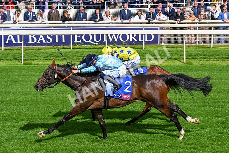 120626-Race 5-Antipodes-0311 - Race 5 16.10pm Sky Bet The World's Gone Football Handicap