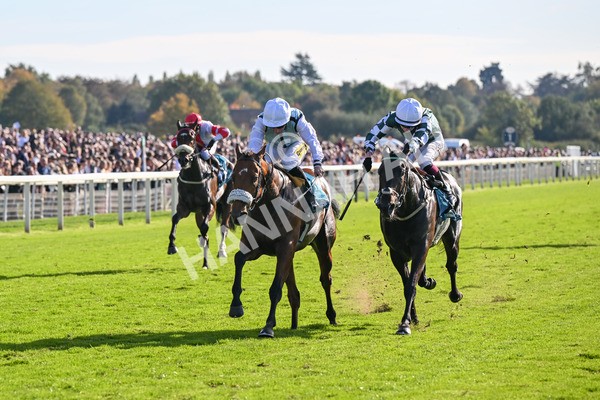 111025-Race 3-Laazm-8590 - Race 3 Coral 'Daily Reward Shaker' For Free Nursery Handicap at York