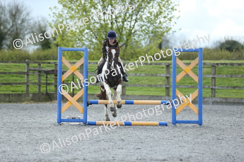 20260412-1728 - Show Jumping