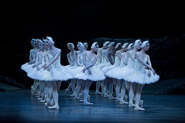  - Swan Lake