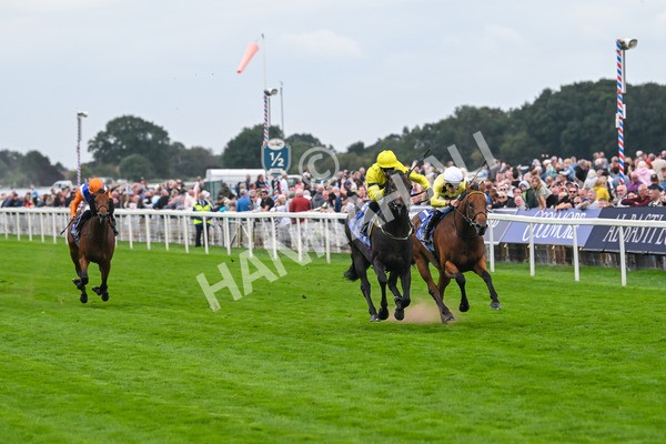 220825-Race 3-Lifeplan-7116 - Race 3 3.00pm Al Basti Equiworld Dubai Gimcrack Stakes