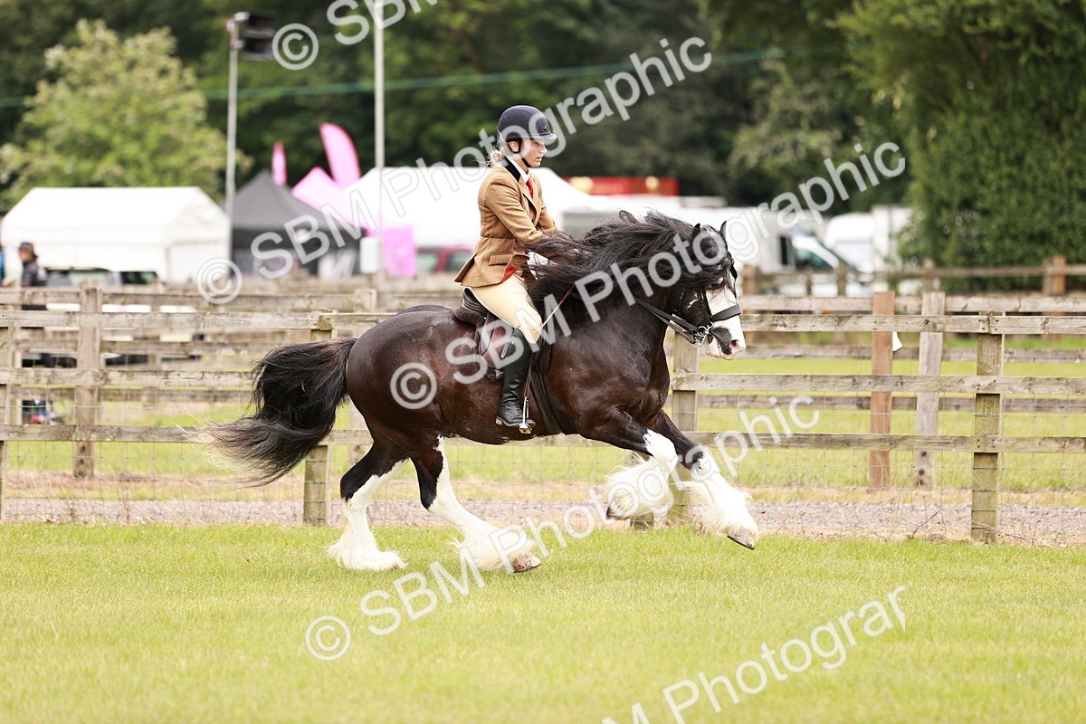 SBM_06191 - Class 39-41 TGCA In Hand and Ridden