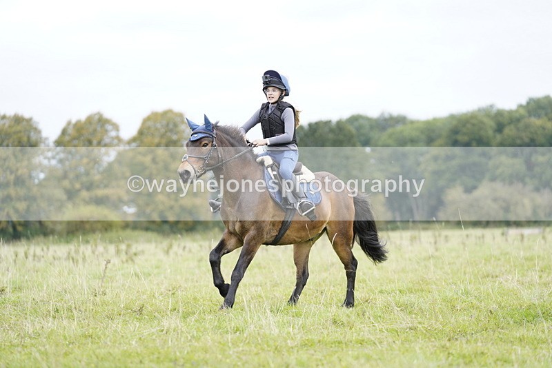 _DSC7249 - Time at Photographer 10:43 to 11:19